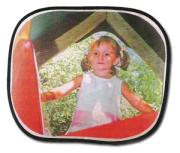 Parasol Coche