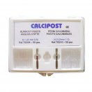 Calcipost kit Maillefer - 100 postes en 2 tamaños + 2 fresas.