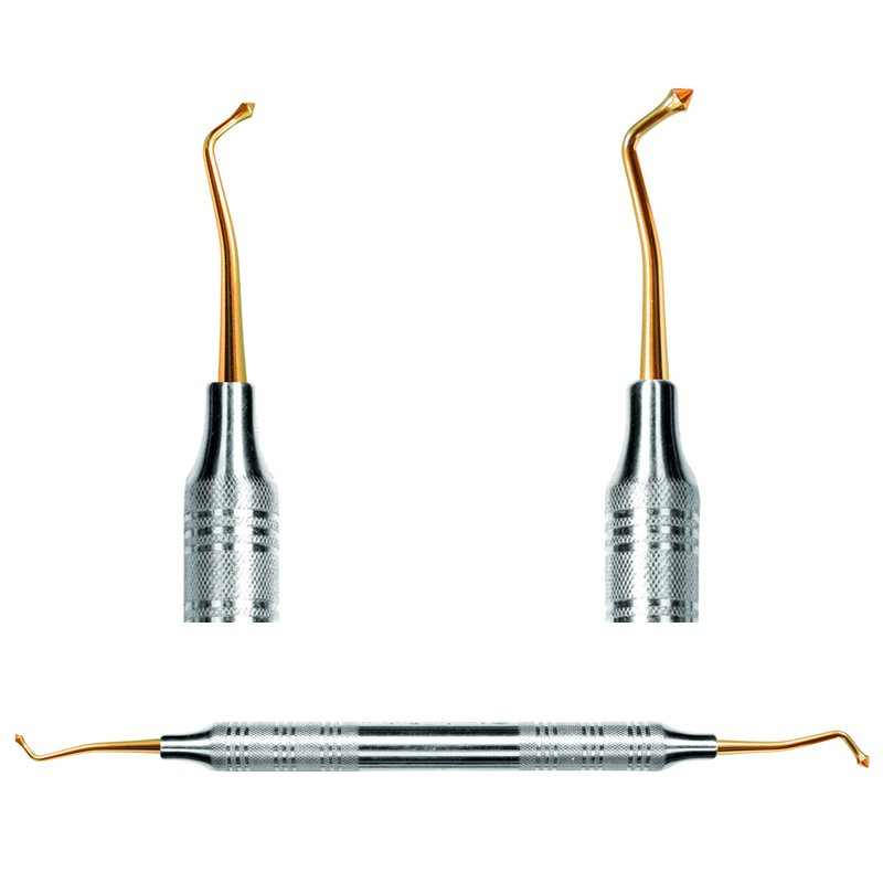 Bruñidores Restauración Instrumental Royal Dent