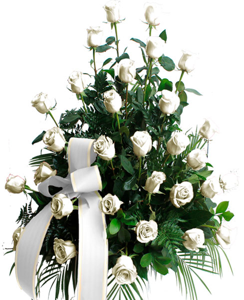 Centro funerario de 30 rosas blancas